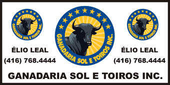 sol e toiros